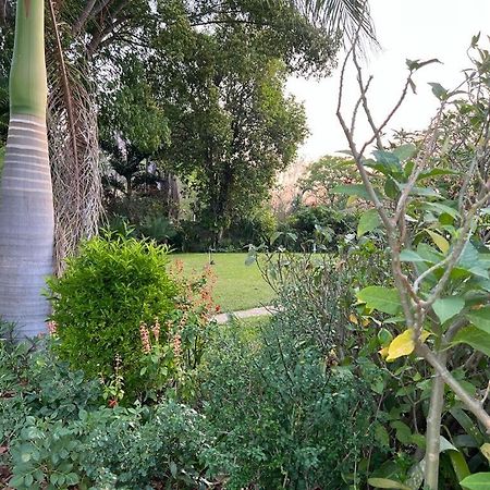 מלון Nyanda Golden Bamboo מראה חיצוני תמונה