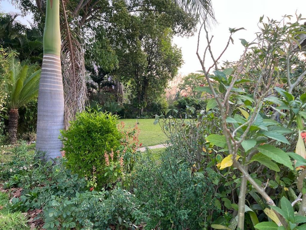 מלון Nyanda Golden Bamboo מראה חיצוני תמונה